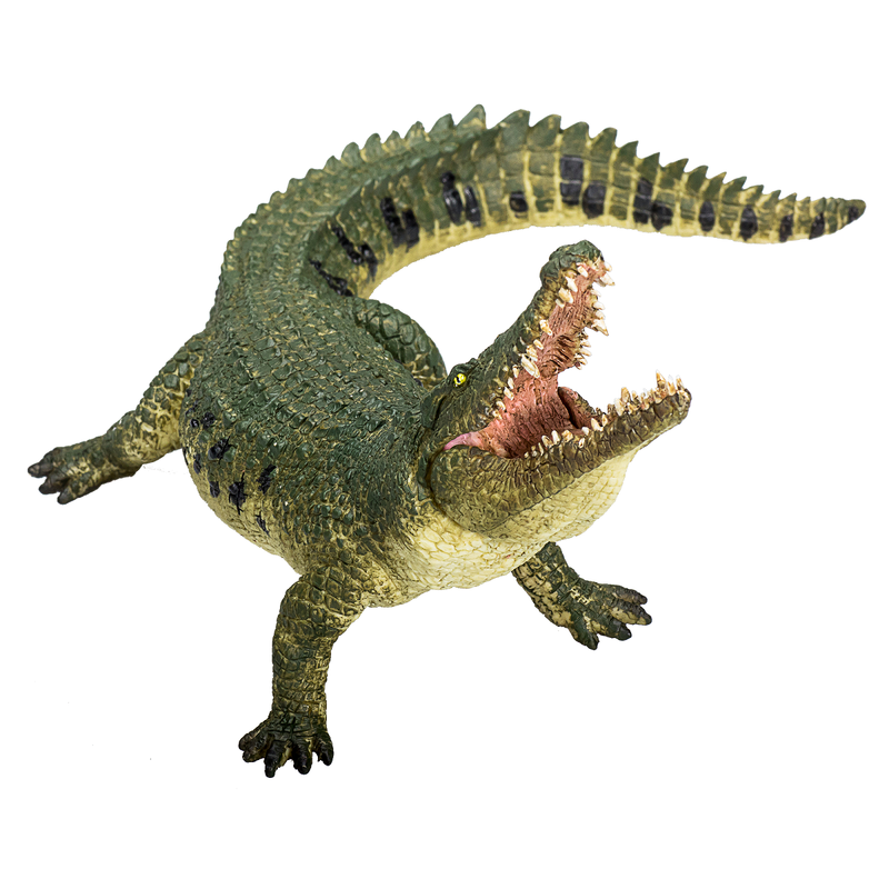 Toy School Crocodile With Moving Jaw