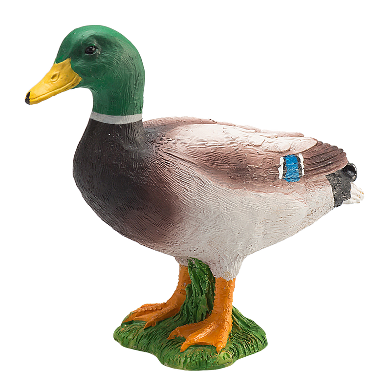 Toy School Mallard Duck