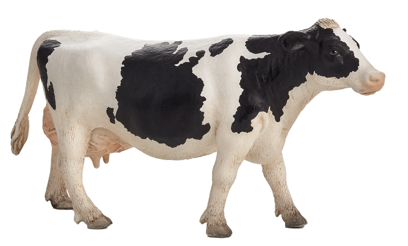 Toy School Holstein Cow