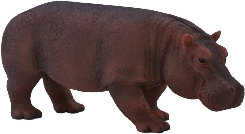 Toy School Hippopotamus Female