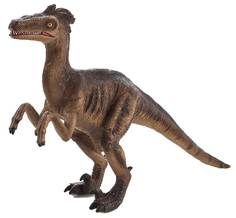 Toy School Dinosaur Velociraptor