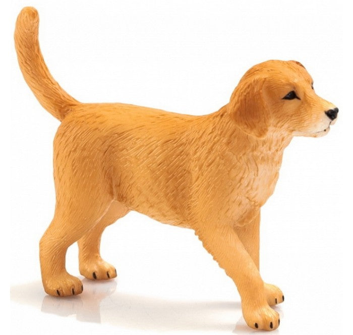 Toy School Golden Retriever Puppy