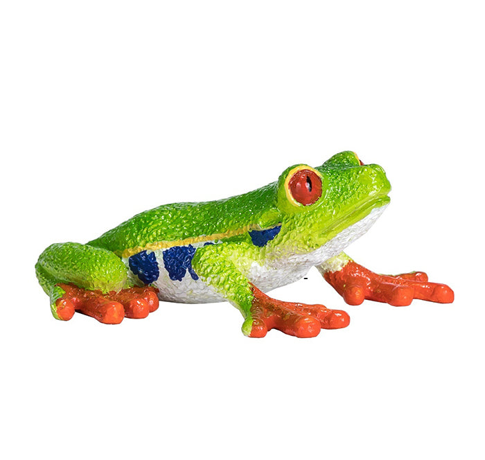 Toy School Red Eyed Tree Frog