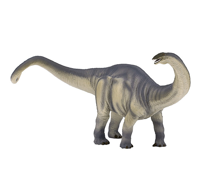 Toy School Dinosaur Brontosaurus Deluxe