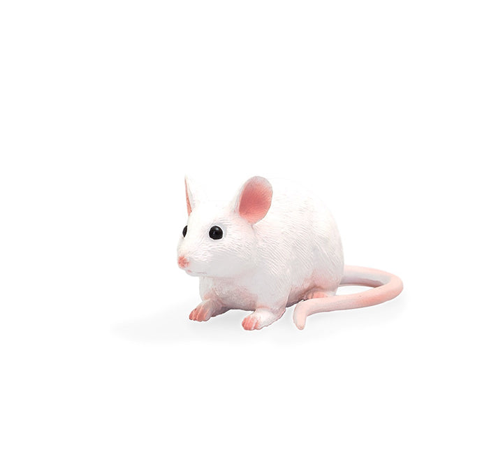 Toy School Mouse